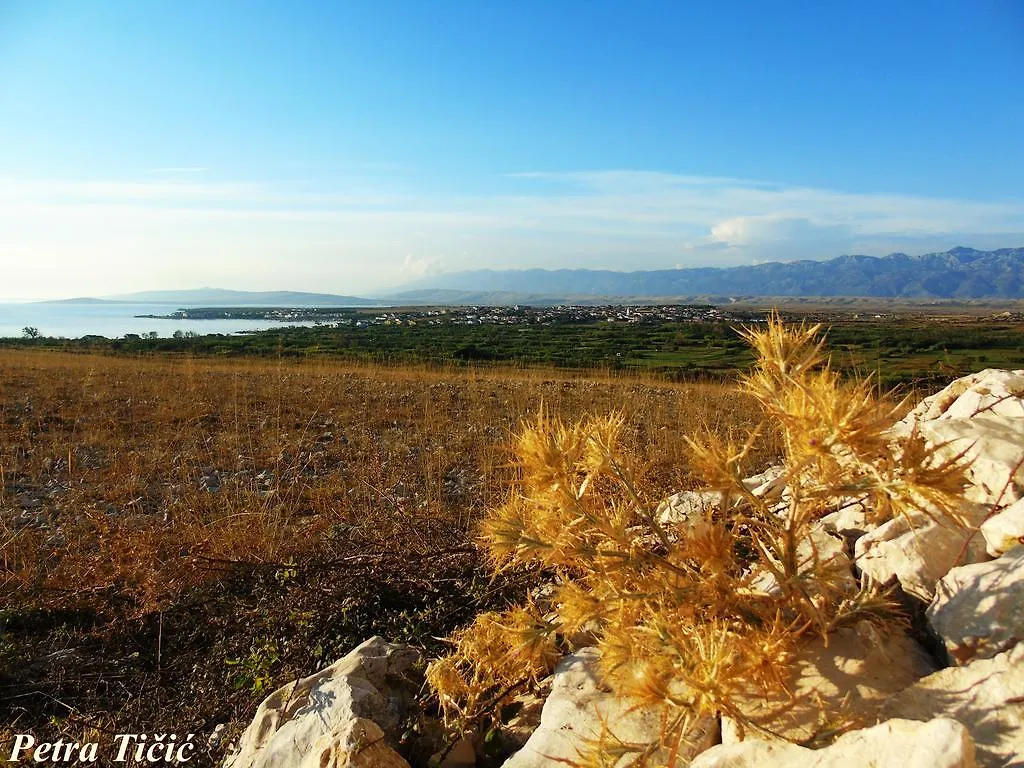 Panorama Apartments Povljana 0*,  Croatia